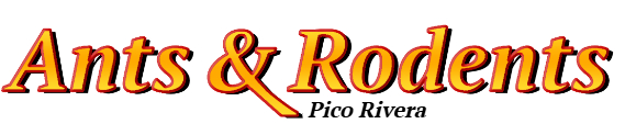 Pico Rivera Ant Exterminator & Rodent Control Company Logo